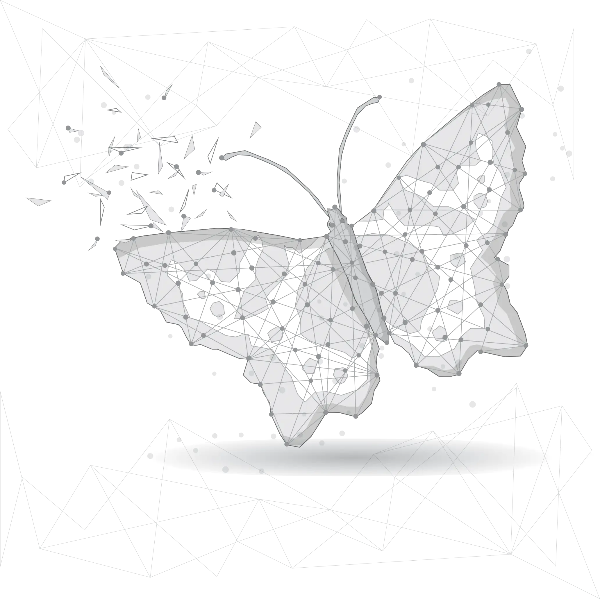 butterfly-lines